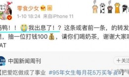 网红黑料网址 明星小说,明星小说背后的真实故事